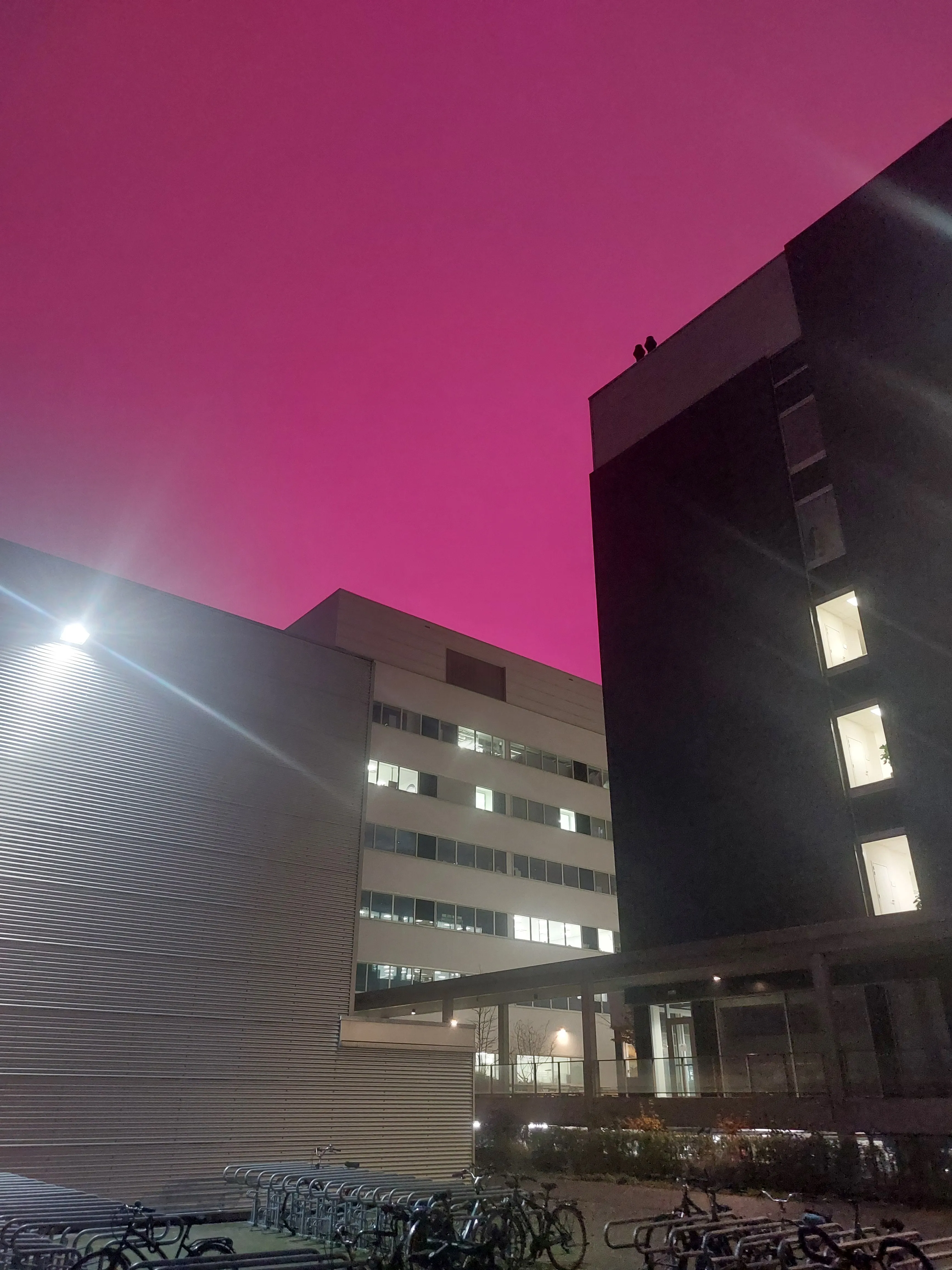A pink night sky above one of the buildings of the Zwijnaarde Tech Lane Science Park.